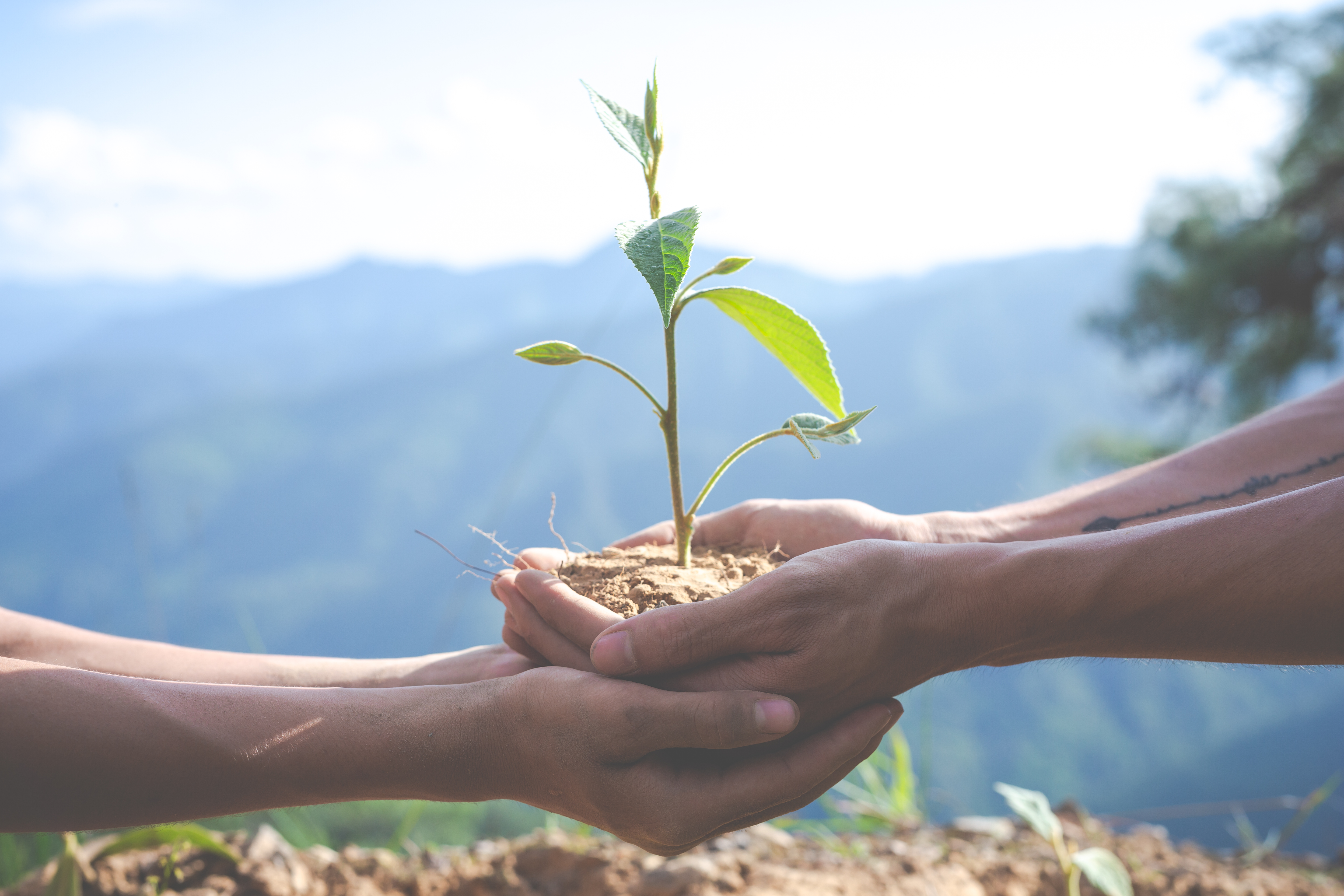 environmental-conservation-in-the-garden-for-children|||Fotógrafo:Freepik